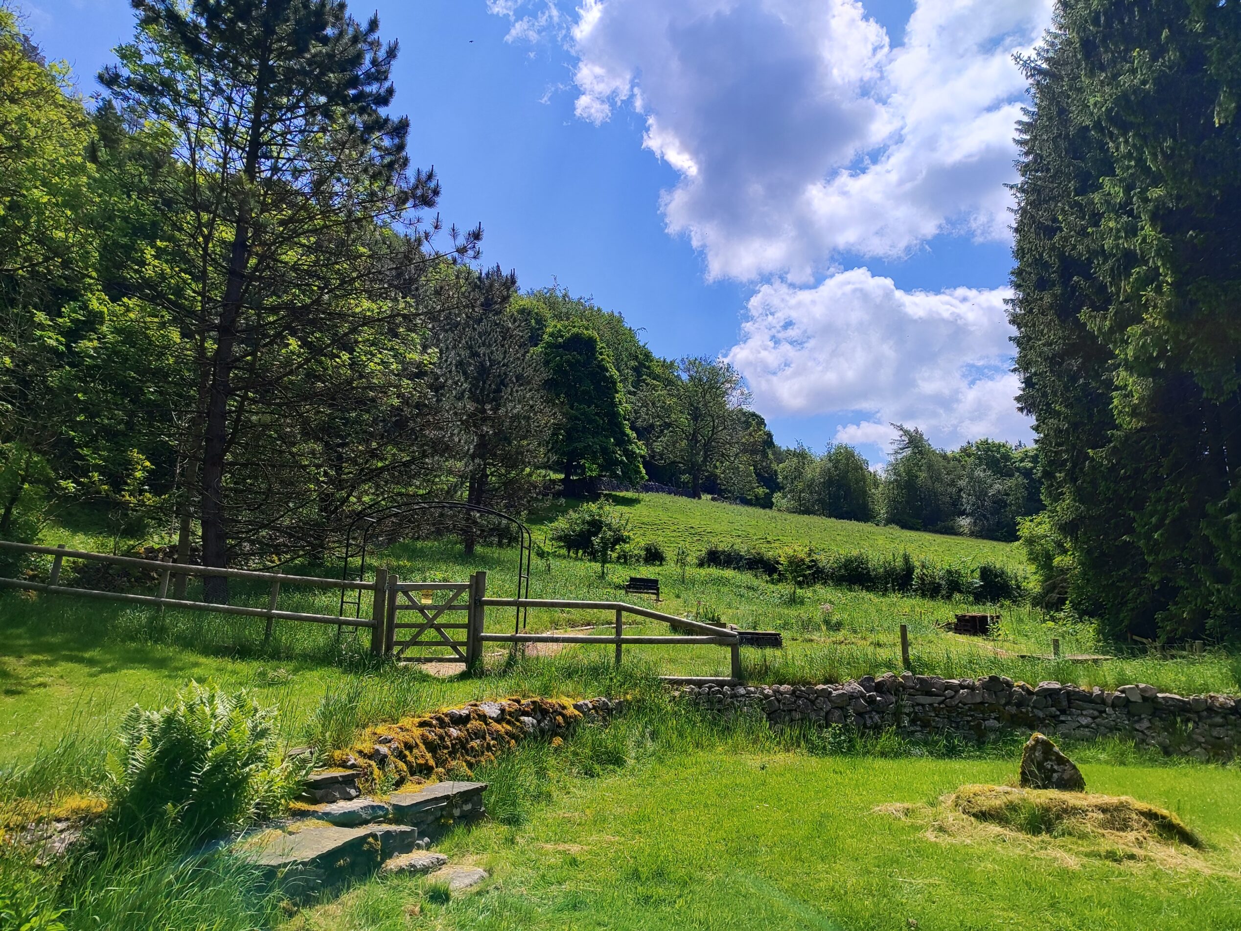 Sensory Garden